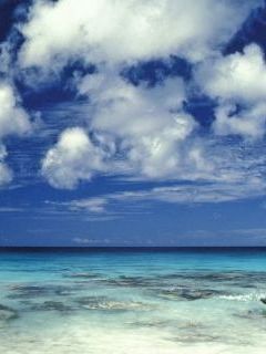 Caribbean Sea, Bonaire, Netherland Antilles.jpg